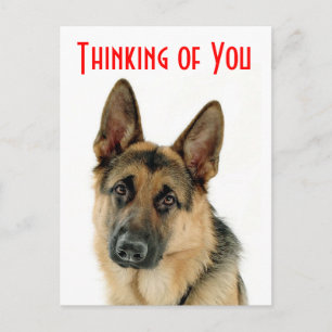 Thinking Of You German Shepherd Puppy Dog Postcard