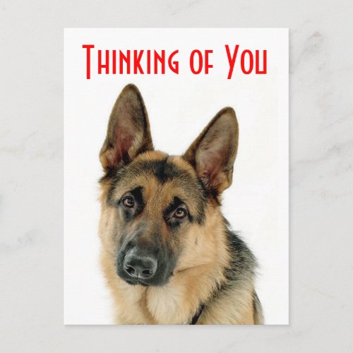 Thinking Of You German Shepherd Puppy Dog Postcard