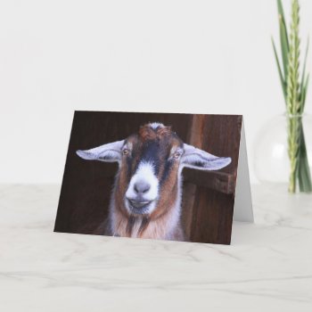 Thinking Of You Goat Greeting Card by Therupieshop at Zazzle
