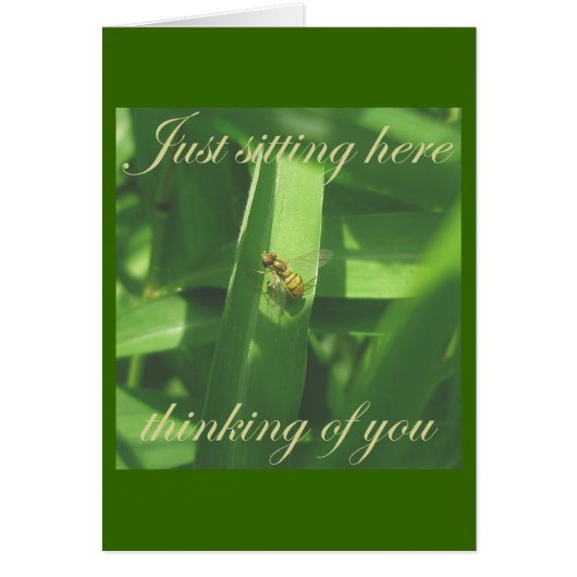 Thinking of you Golden Bee Fly Card (Front)