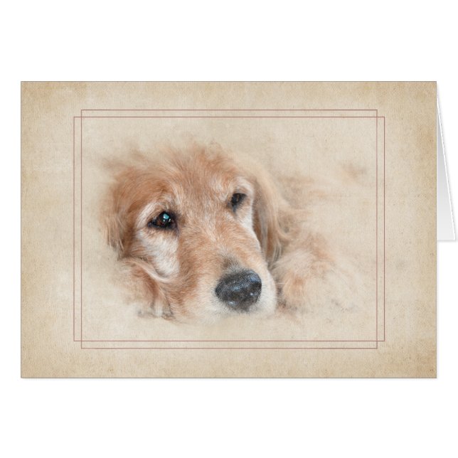 Thinking of You Golden Retriever Cards (Front Horizontal)