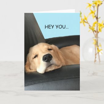 Thinking of You Golden Retriever Pet Dog Card Zazzle