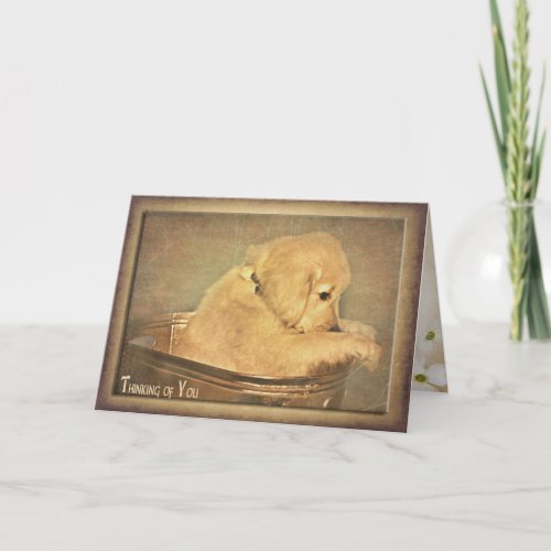 thinking of you golden retriever puppy card