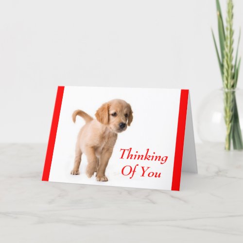 Thinking Of You Golden Retriever Puppy Dog Card