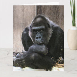 THINKING OF YOU GORILLA FUNNY GREETING CARDS