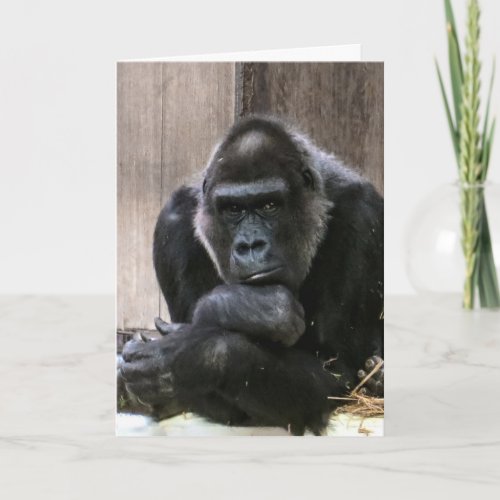 THINKING OF YOU GORILLA GREETING CARDS