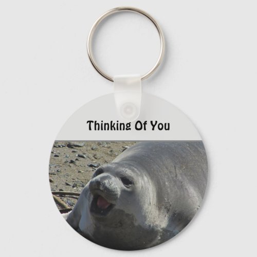 Thinking Of You Gray Elephant Seal Ocean Animal Keychain