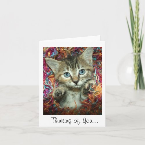 Thinking of You Gray Tabby Kitten Card