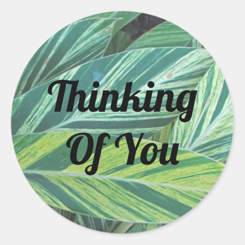 Thinking of You Green Striped Tropical Leaves Classic Round Sticker