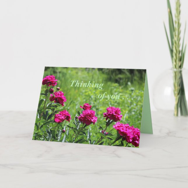 Thinking of you . . .Greeting Card (Front)