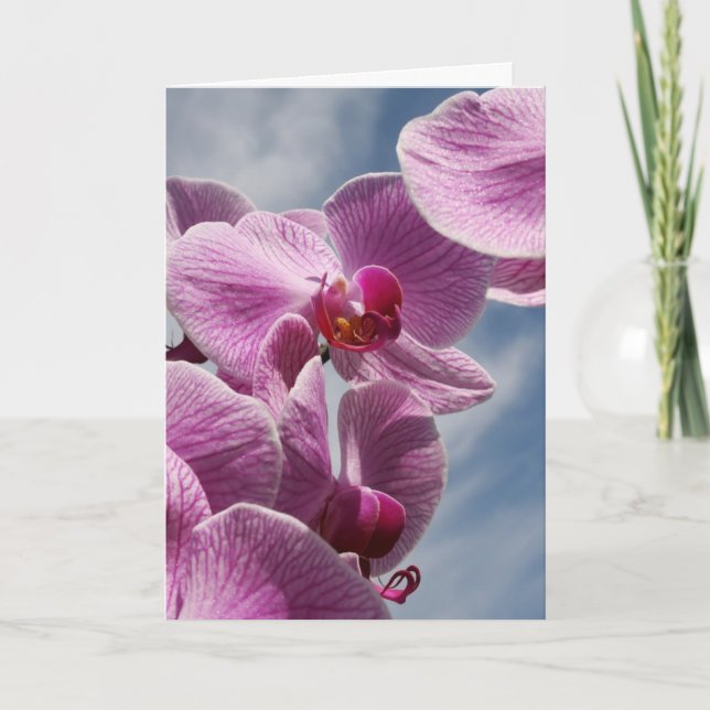 Thinking Of You Greeting Card, Beautiful Orchid Card (Front)