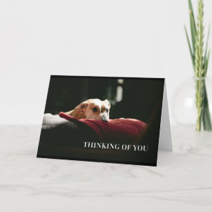 Thinking of you greyhound card