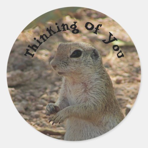 Thinking of You Ground Squirrel Desert Animal Classic Round Sticker