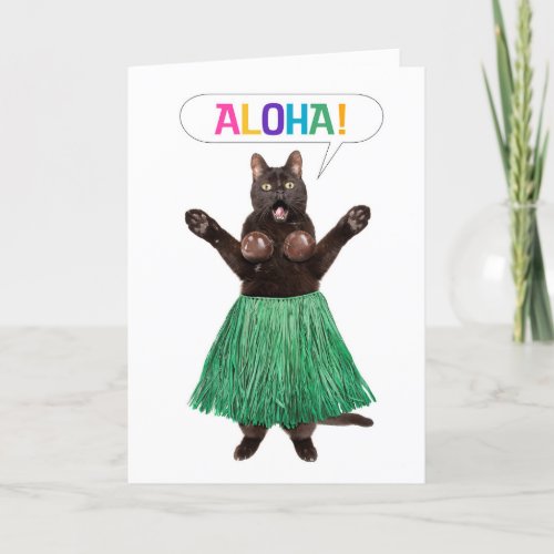 Thinking of You Hello Funny Cat in Grass Skirt Say Holiday Card