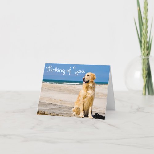 Thinking Of You Hello Golden Retriever Puppy Dog Card