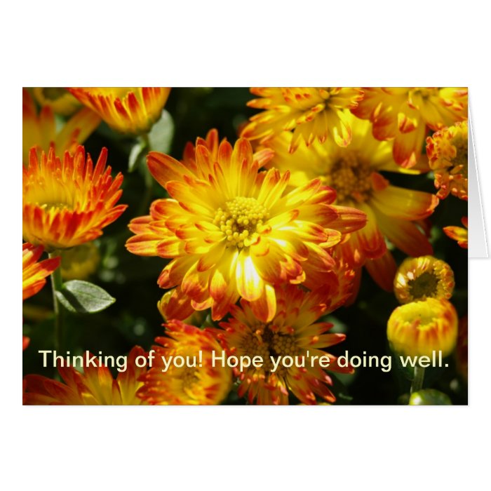 Thinking of you Hope you're doing well. Cards