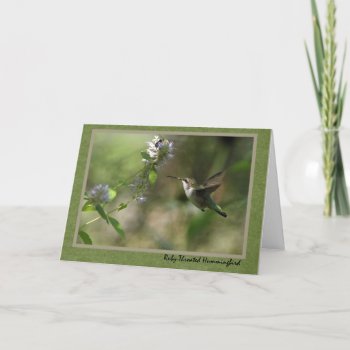 Thinking Of You Hummingbird Card by Considernature at Zazzle