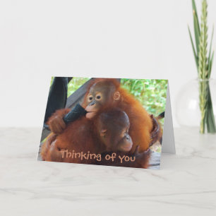 Thinking of You I Miss You Card