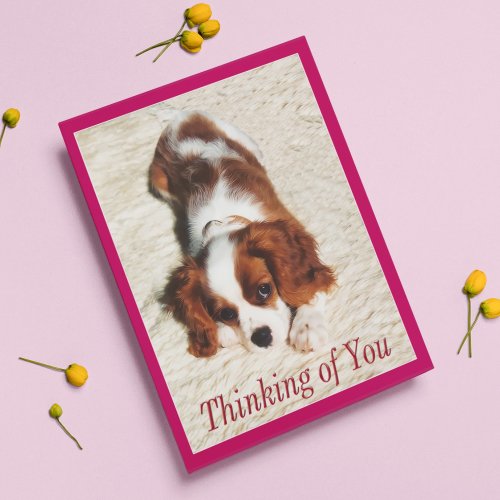 Thinking of You King Charles Spaniel Puppy Card