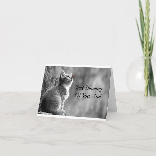 Thinking Of You Kitten Card