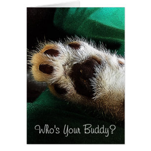 Thinking of You Kitten Paw Photograph Blank Inside