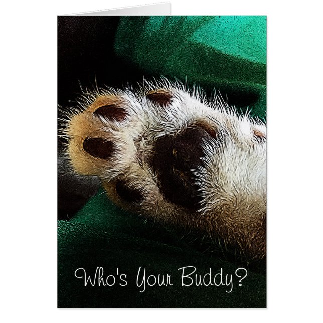 Thinking of You Kitten Paw Photograph Blank Inside Cards (Front)
