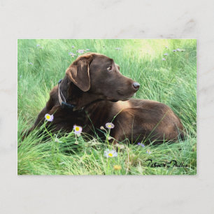 Thinking of You Labrador Retriever Purple Flowers Postcard