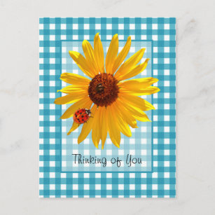 Thinking of You Ladybug On Sunflower Postcard