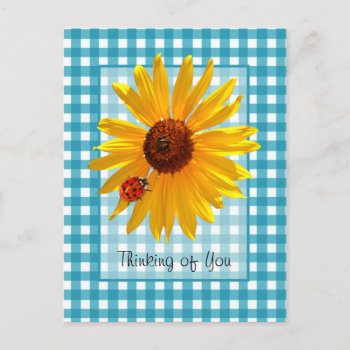 Thinking Of You Ladybug On Sunflower Postcard by PhotographyTKDesigns at Zazzle