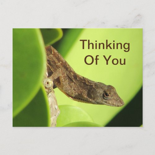 Thinking Of You Leaves Reptile Gecko Friendship Postcard
