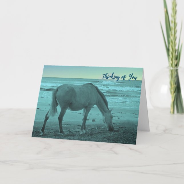 Thinking of You Lonely Horse Near Lake Michigan Card (Front)