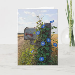 Thinking of You Mailbox with Morning Glories Card