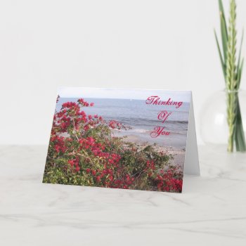Thinking Of You Malibu Card by DonnaGrayson_Photos at Zazzle