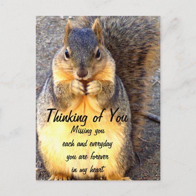 Thinking of You,Miss You_ Postcard (Front)
