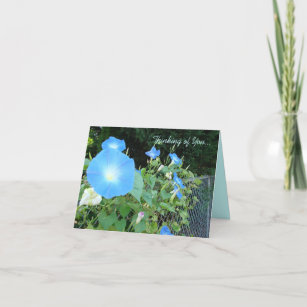 Thinking of You... Morning Glories Notecard