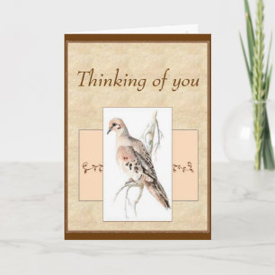 Thinking of you Mourning Dove, Turtle Dove Card