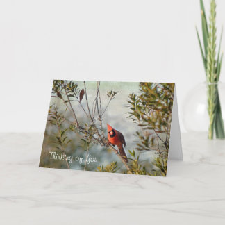 Thinking of You - Northern Cardinal in Wax Myrtle Card