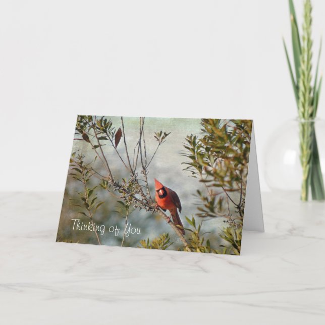 Thinking of You - Northern Cardinal in Wax Myrtle Card (Front)
