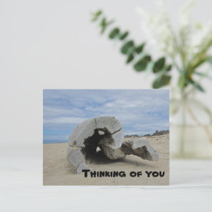 Thinking of You Pacific Ocean Beach Driftwood Postcard