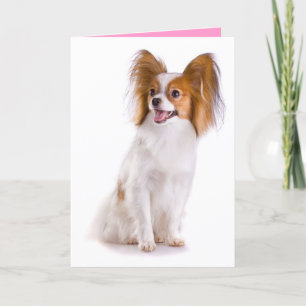 Thinking of You Papillion Puppy Dog Greeting Card