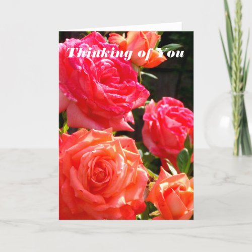 Thinking of You _ Peach Roses Card
