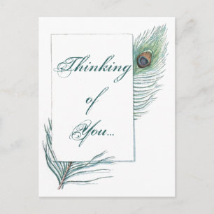 Thinking of You Peacock Feather Inspirational Postcard