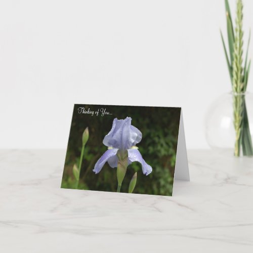 Thinking of You Periwinkle Iris Rain Drops Card