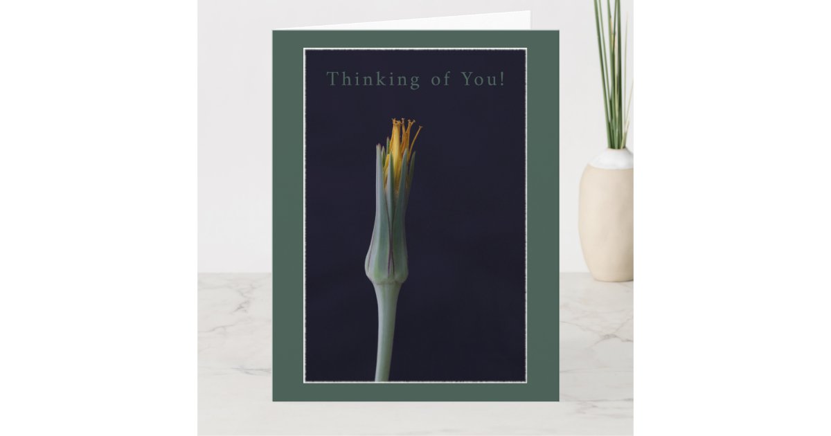 Thinking of You! Personalized Floral Greeting Card | Zazzle