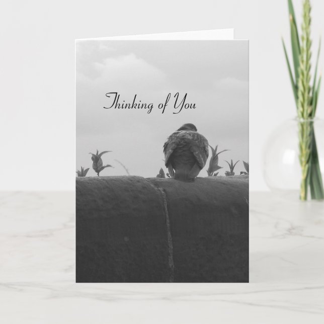 Thinking of You Pigeon Card (Front)