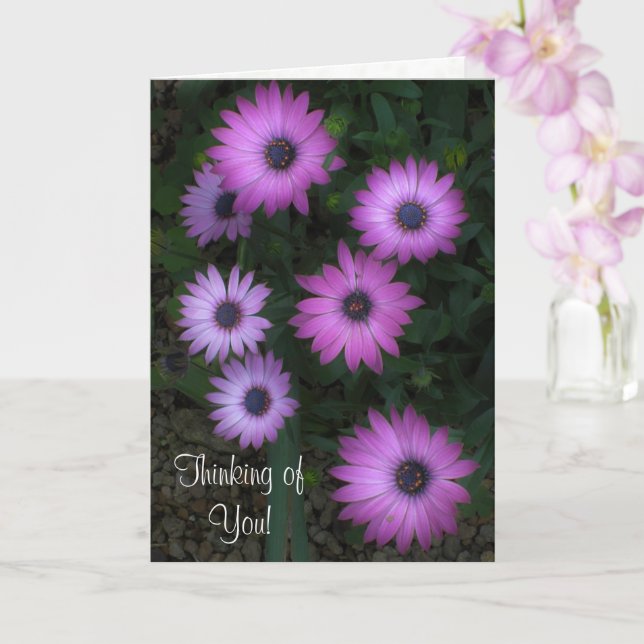 Thinking of You - Pink Floral Card Ecc 3:11 (Orchid)