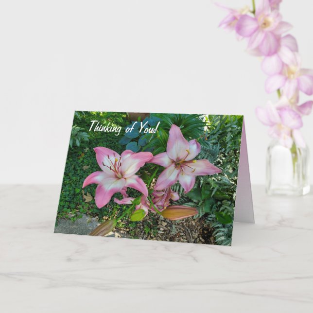 Thinking of You Pink Lily Card (Orchid)