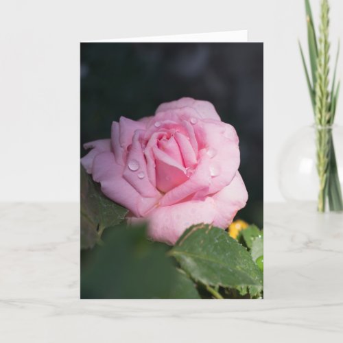 Thinking of You _ Pink Rose Card