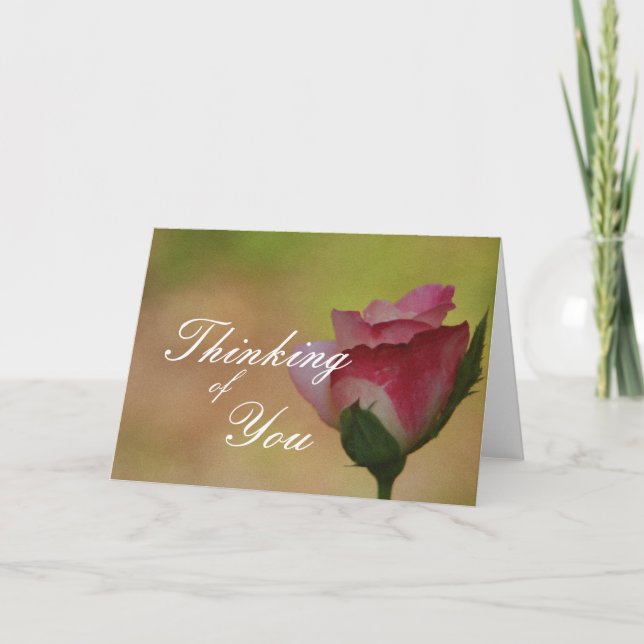 Thinking of You Pink Rose Card (Front)