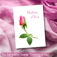 Thinking of You Pink Rose Minimalist Modern Love